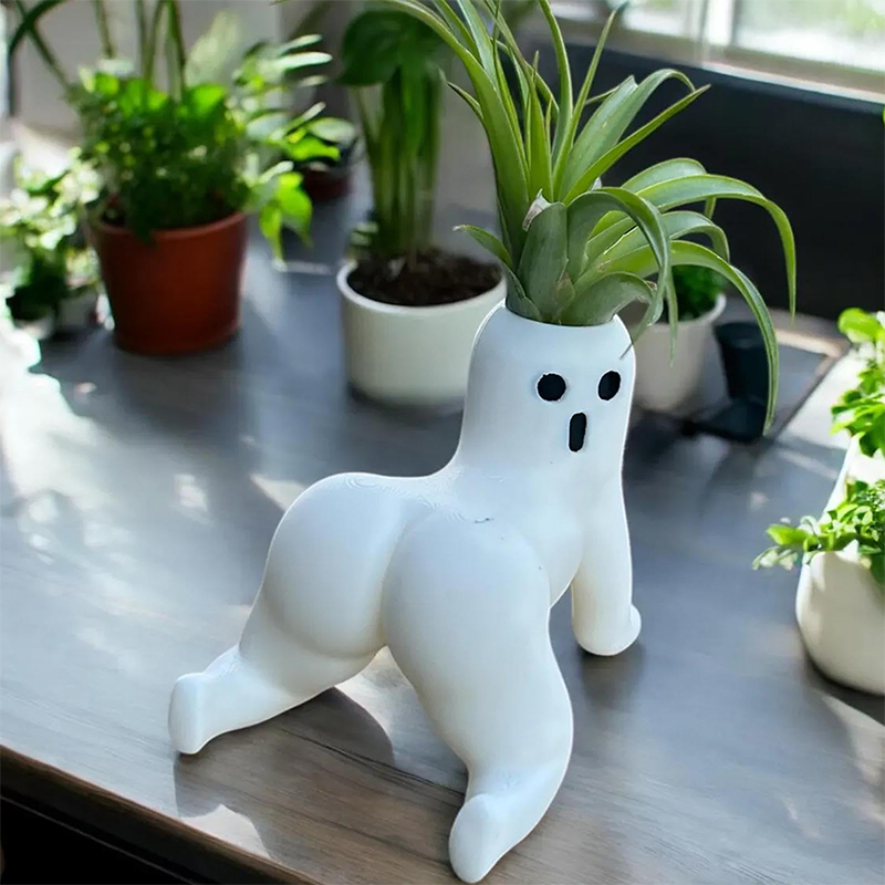 Funny Big Booty Ghost Planter  - огляд і ціна Echeveria Succulent