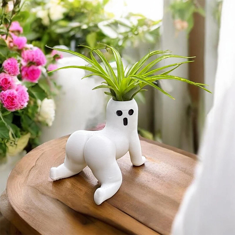 Funny Big Booty Ghost Planter  - огляд і ціна Echeveria Succulent