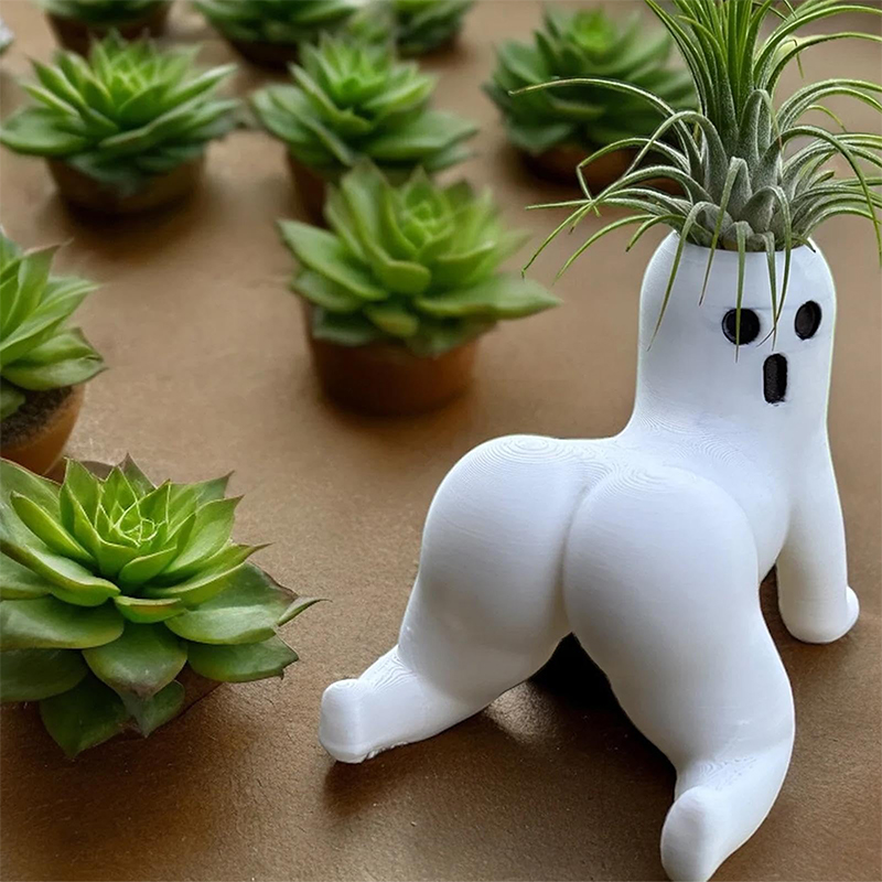 Funny Big Booty Ghost Planter  - огляд і ціна Echeveria Succulent