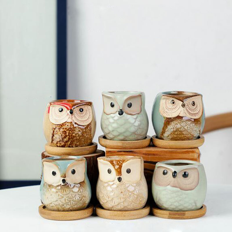 6pcs/set Ceramic Flowerpot Set - огляд і ціна Echeveria Succulent